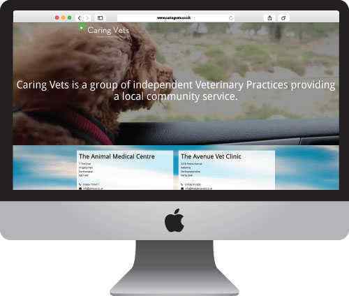 Caring Vets Website Example on Mac
