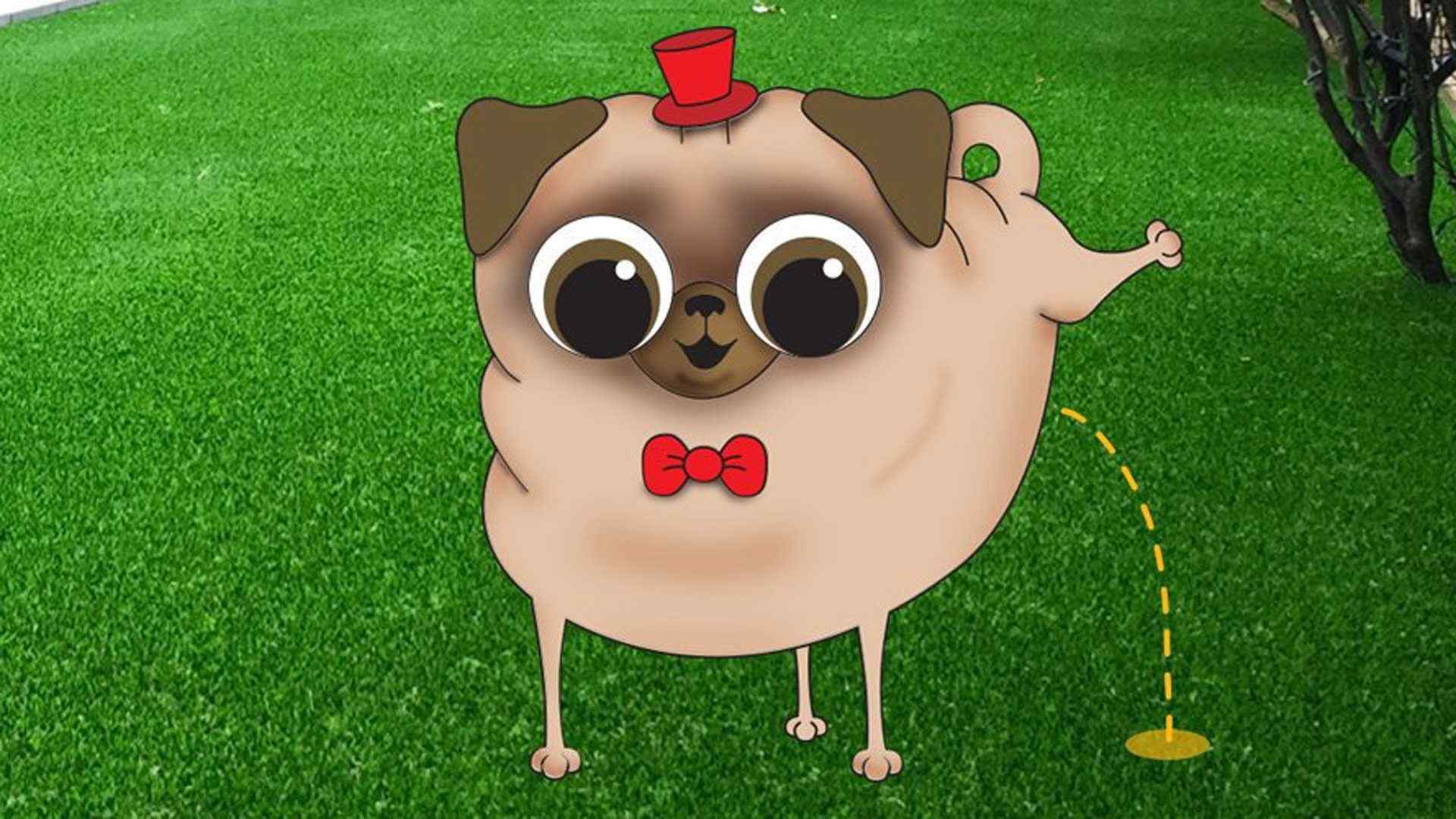 Digital Marketing Portfolio; Top Dog Turf Seventy9